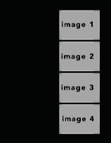 potraitblack #15